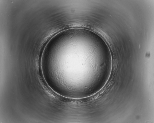 X0000098230345200804241345