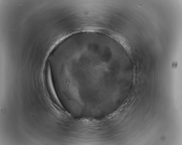 X0000098230346200804241345