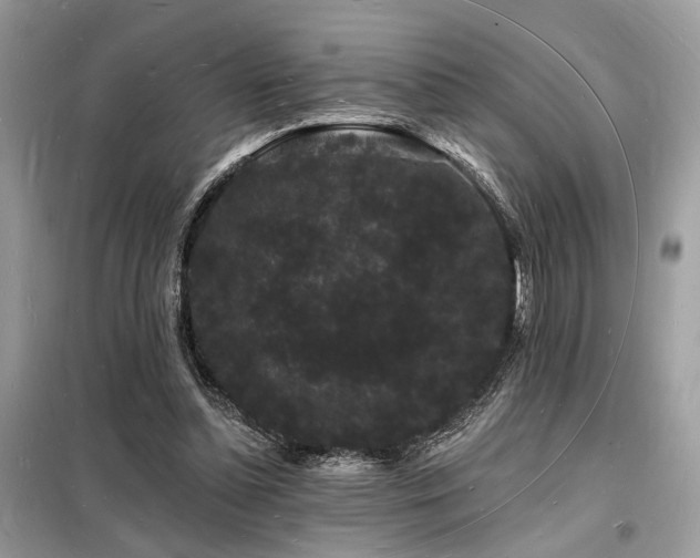 X0000098230348200804241345