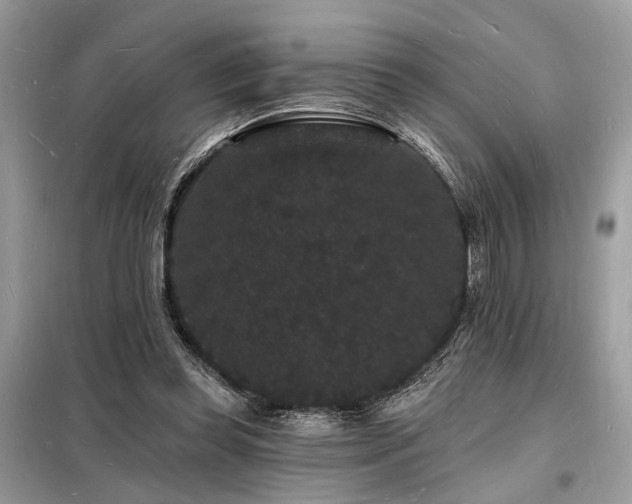 X0000098230349200804241345