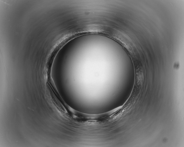 X0000098230350200804241346