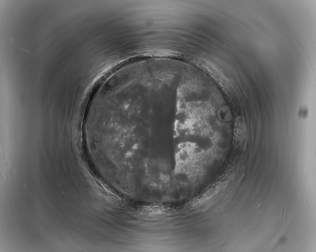 X0000098230351200804241346