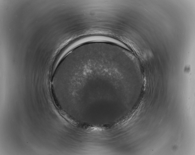 X0000098230352200804241346