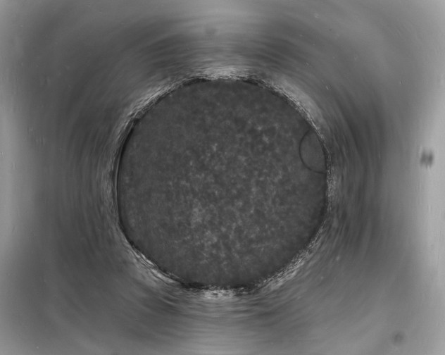 X0000098230353200804241346