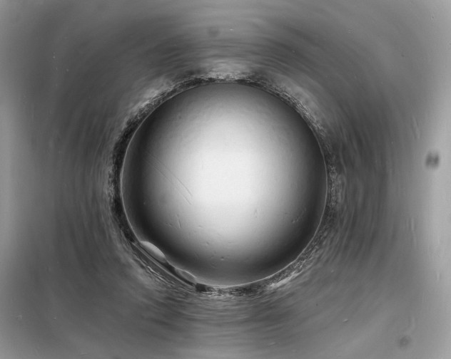 X0000098230354200804241346