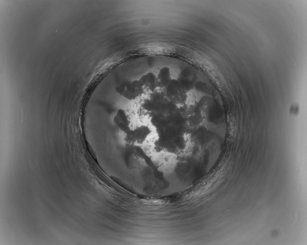 X0000098230357200804241346
