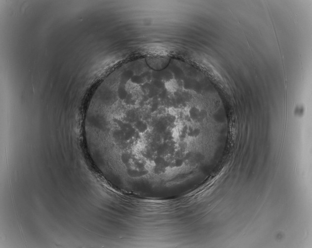 X0000098230359200804241346