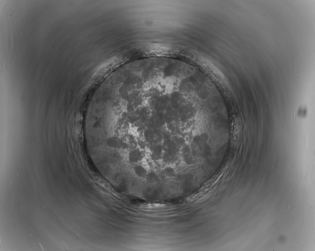 X0000098230361200804241346