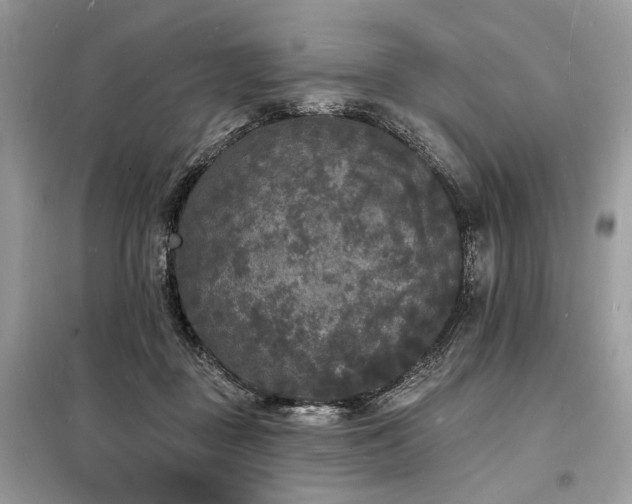 X0000098230363200804241346
