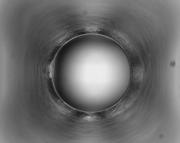 X0000098230364200804241346