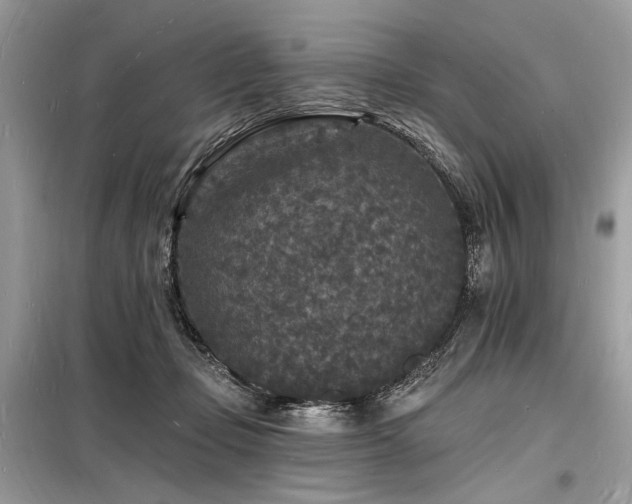 X0000098230365200804241346