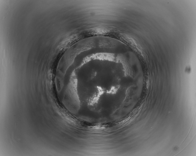 X0000098230366200804241346
