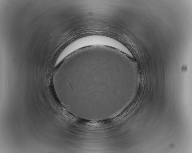 X0000098230370200804241346