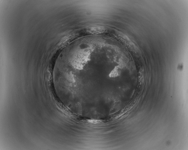 X0000098230371200804241346