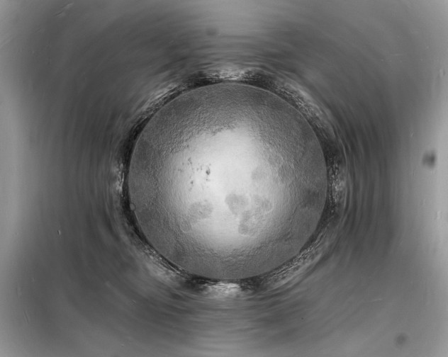 X0000098230374200804241346