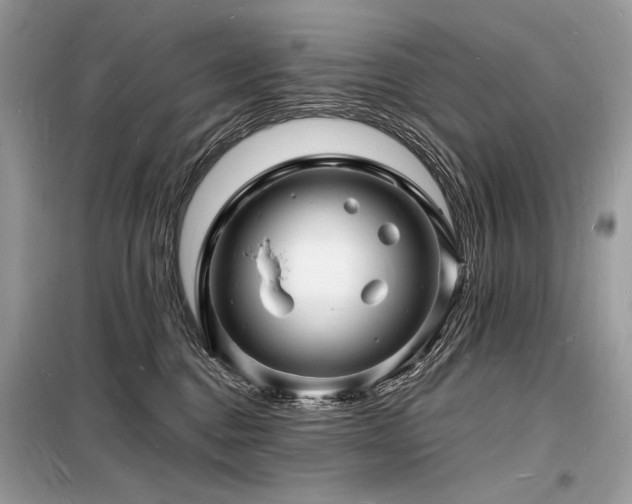 X0000098230376200804241346