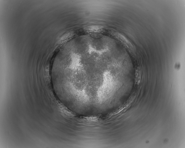 X0000098230377200804241346