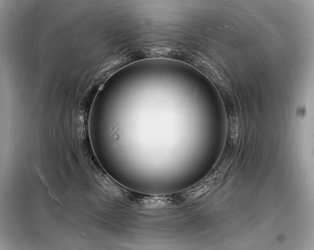 X0000098230378200804241346