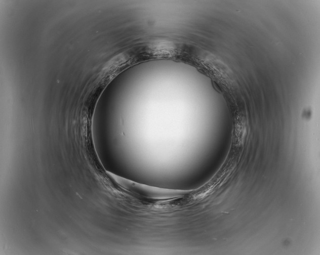 X0000098230379200804241346