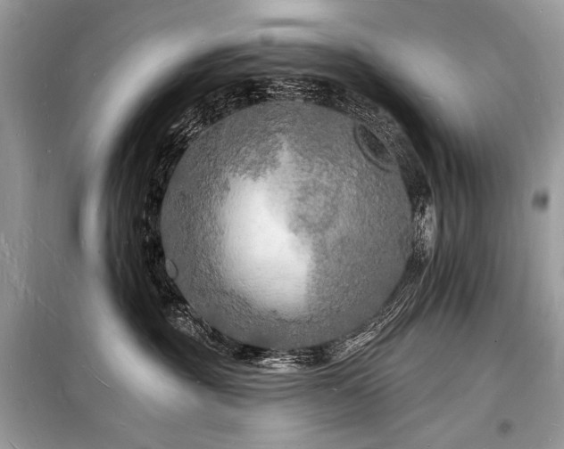 X0000098230381200804241346
