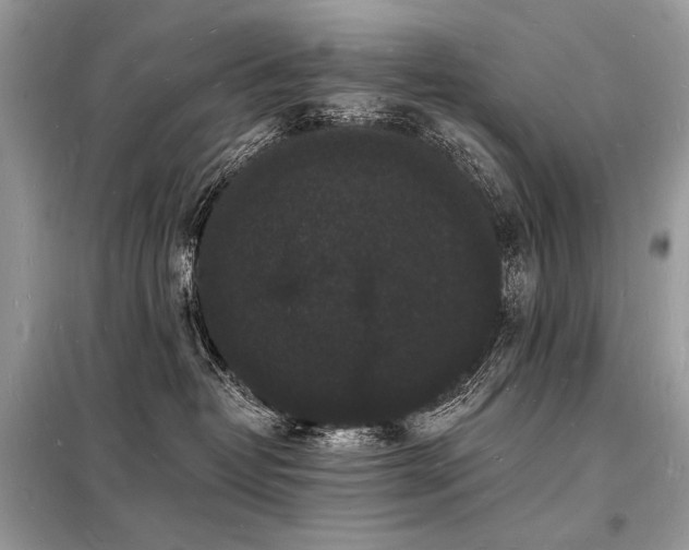 X0000098230382200804241346