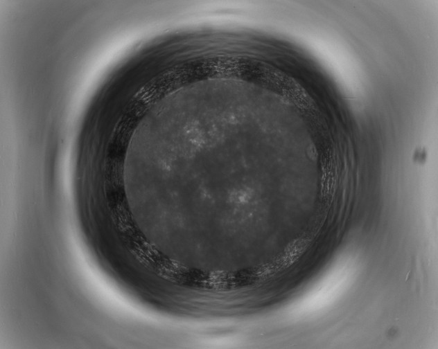 X0000098230383200804241346