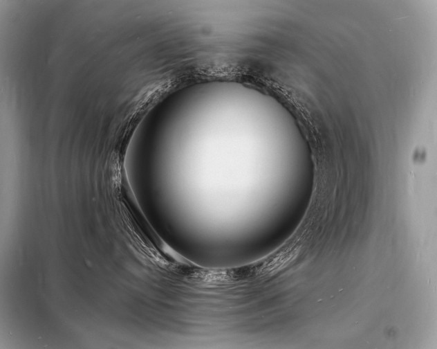 X0000098230384200804241346