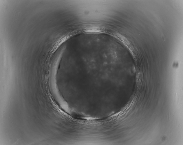 X0000098230385200804241345