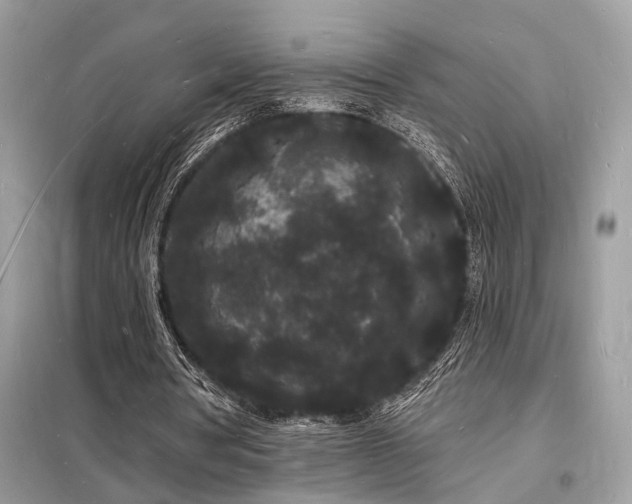X0000098230386200804241345
