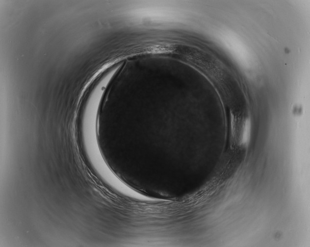X0000098230387200804241345