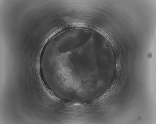 X0000098230390200804241345