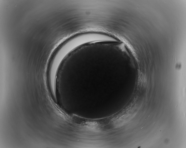 X0000098230391200804241345