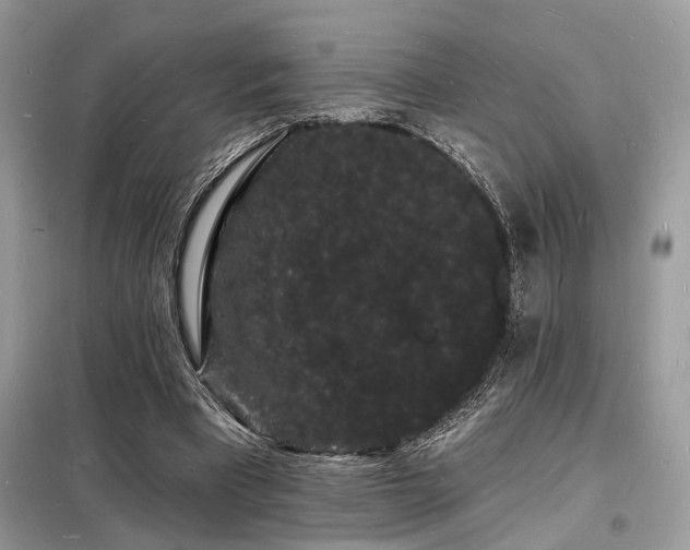 X0000098230393200804241345