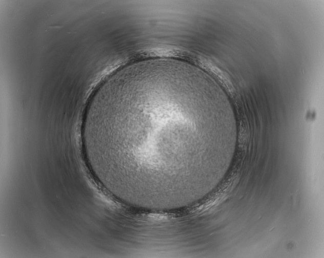 X0000098230394200804241345