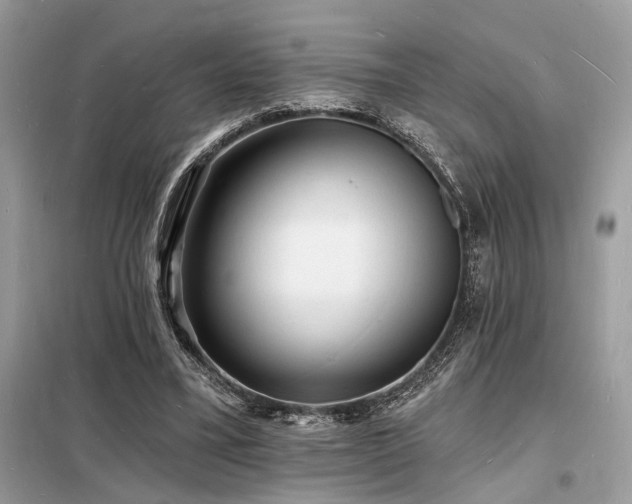 X0000098230395200804241345