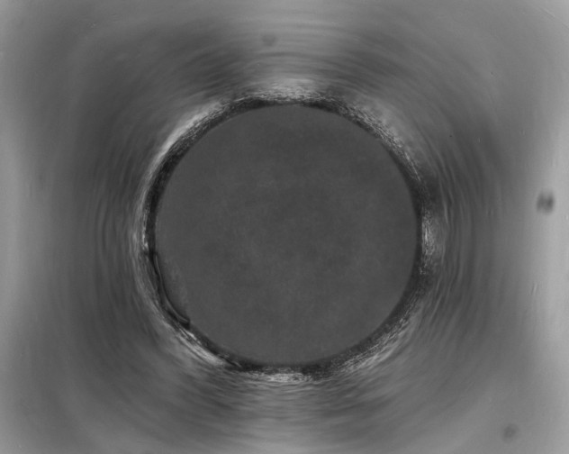 X0000098230396200804241345