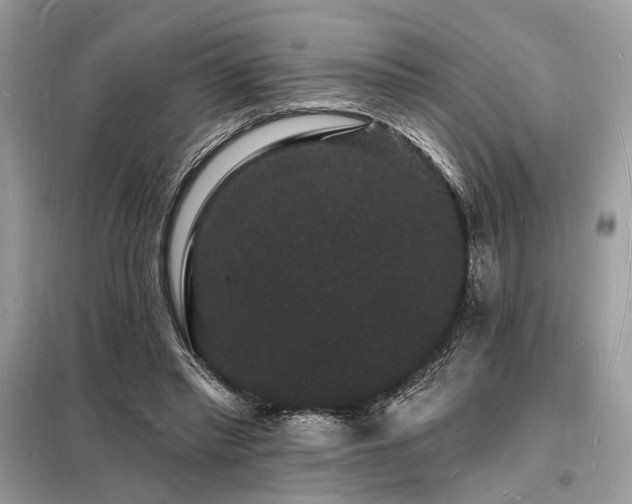 X0000098230397200804241345