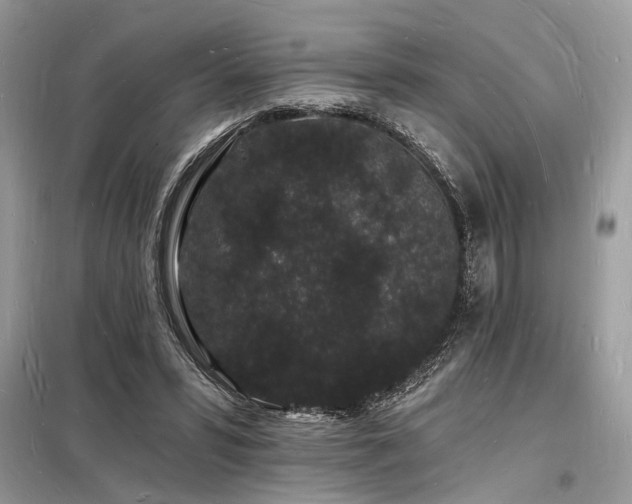 X0000098230399200804241345