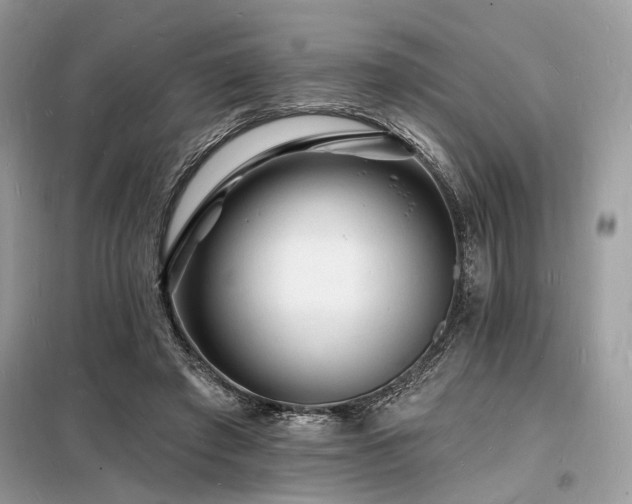 X0000098230401200804241345