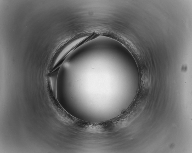 X0000098230403200804241345