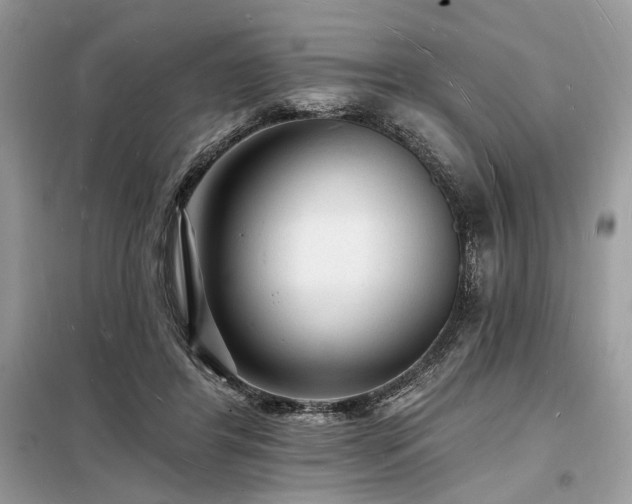 X0000098230404200804241345