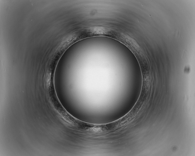 X0000098230406200804241345