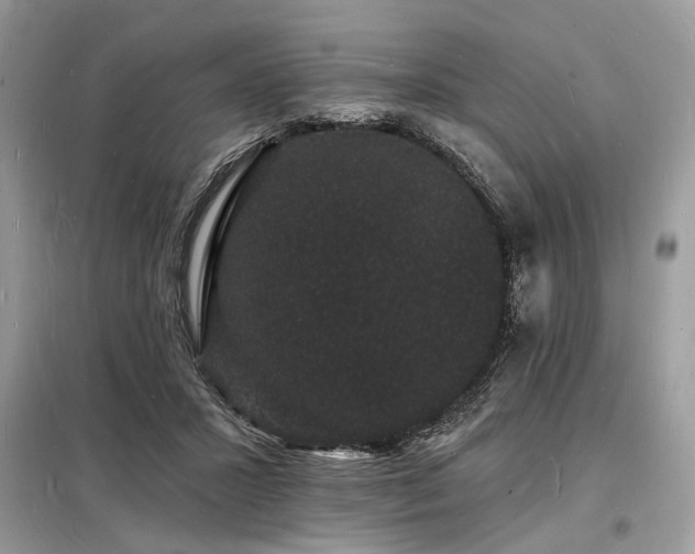 X0000098230407200804241345