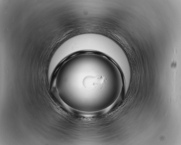 X0000098230409200804241345