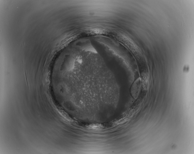 X0000098230410200804241345