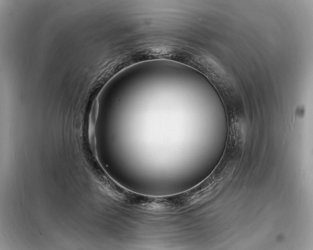 X0000098230412200804241345