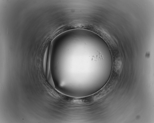 X0000098230413200804241345
