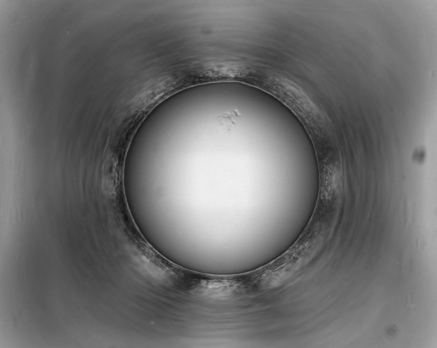 X0000098230414200804241345