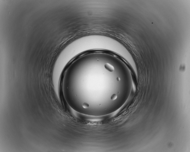 X0000098230415200804241345