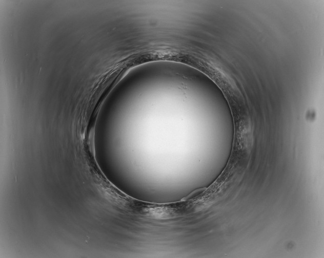 X0000098230417200804241345
